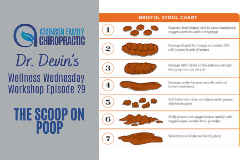 The Scoop on Poop