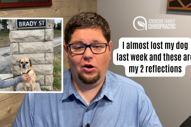 I almost lost my dog last week and these are my 2 reflections