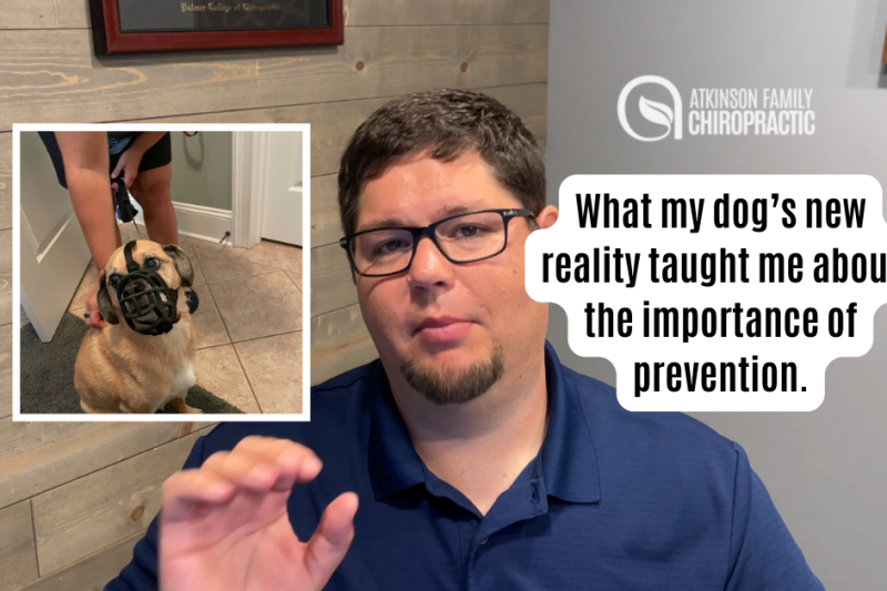 What my dog’s new reality taught me about the importance of prevention